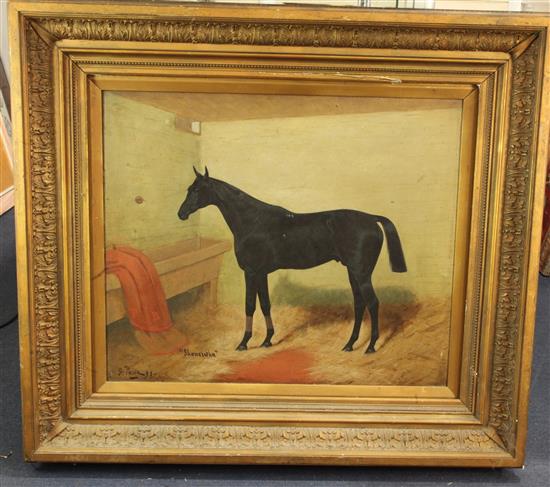 George Paice (1854-1925) Shancrotha - Winner of The Manchester Cup 25 x 30in.